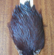 ������ ������ indian cape dry fly brown  # 2 Wapsi